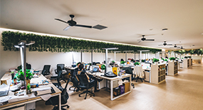 發(fā)貨實(shí)拍